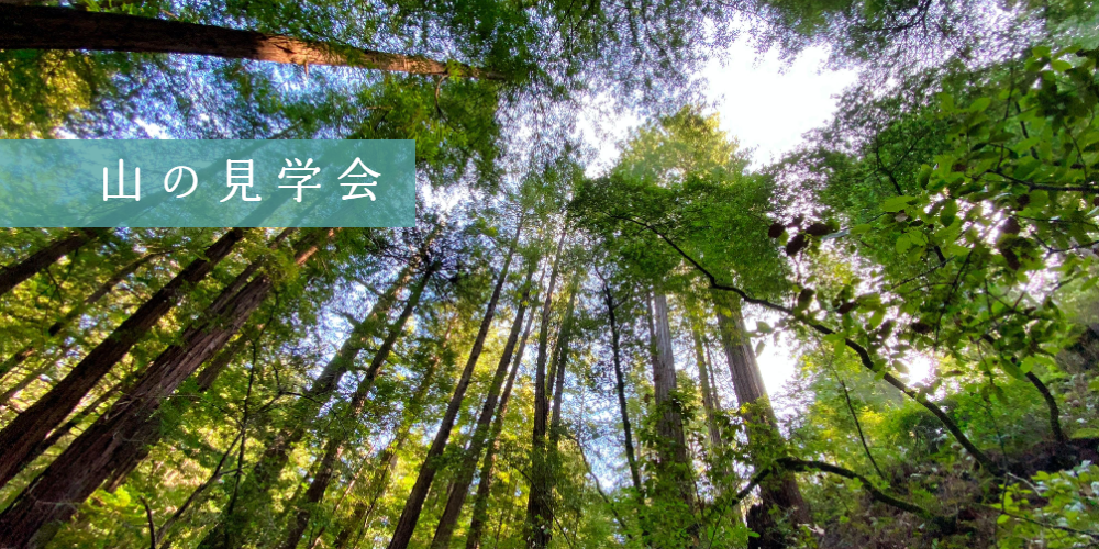 山の見学会