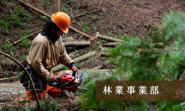 林業事業部