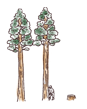 イラスト 大径木の活用