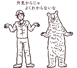 イラスト　枝虫材どうやってできる？2