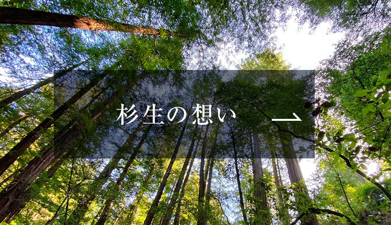 バナー　杉生の想い