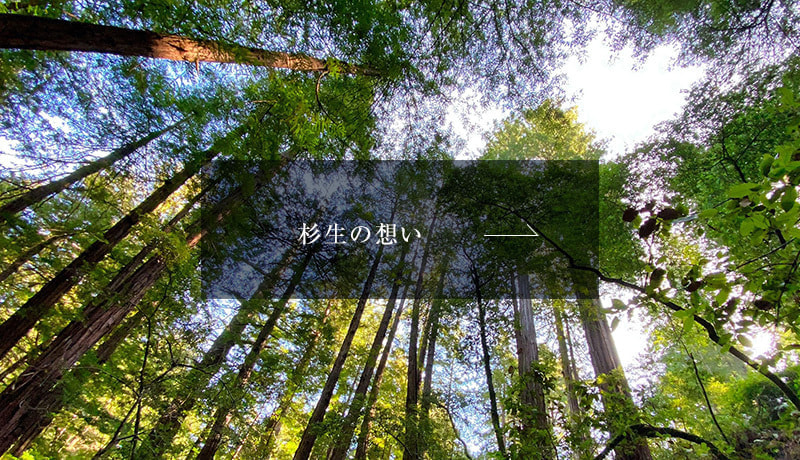 バナー_杉生の想い