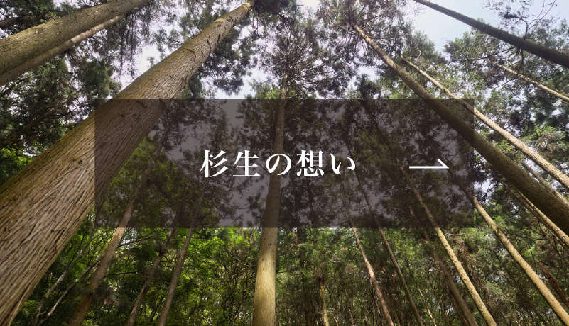 バナー　杉生の想い