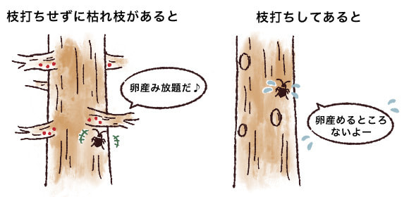 枝虫材が増えてきた原因は？