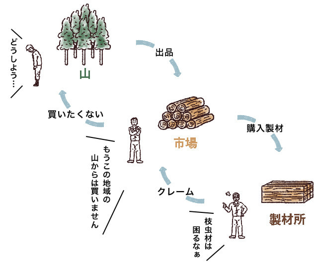 枝虫材が出るとどうなる？