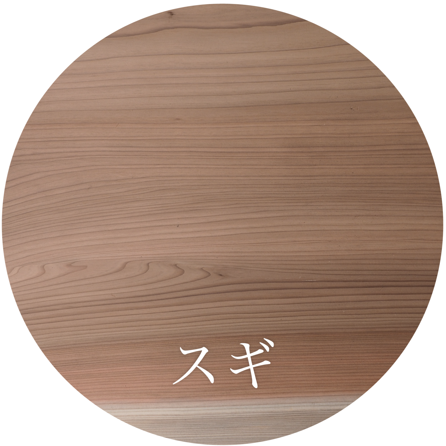 スギ